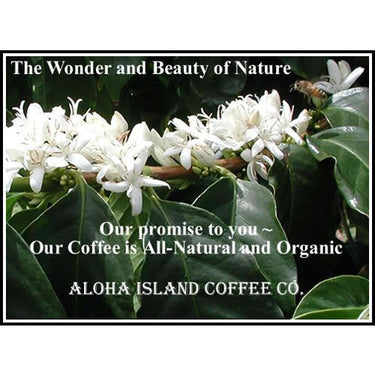 Aloha Island Coffee Company Gold II, Luxurious Estate Kona Coffee Blend, 8-Ounce Bag